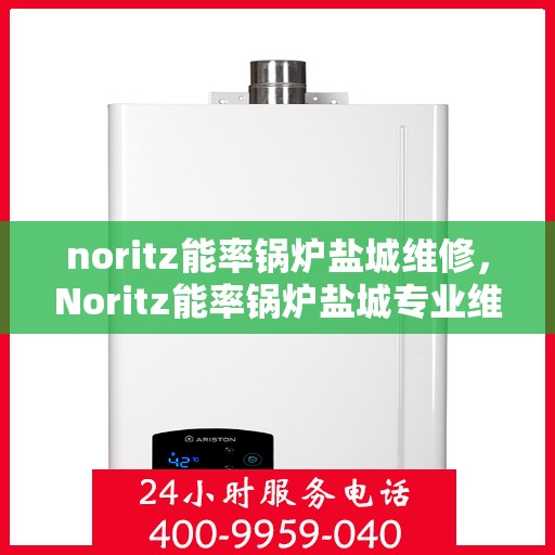 noritz能率锅炉盐城维修，Noritz能率锅炉盐城专业维修服务