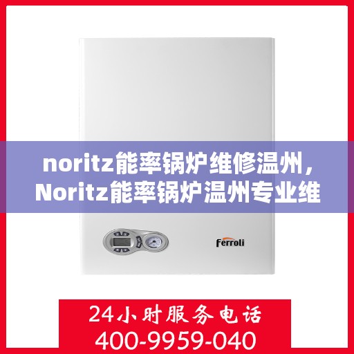 noritz能率锅炉维修温州，Noritz能率锅炉温州专业维修服务
