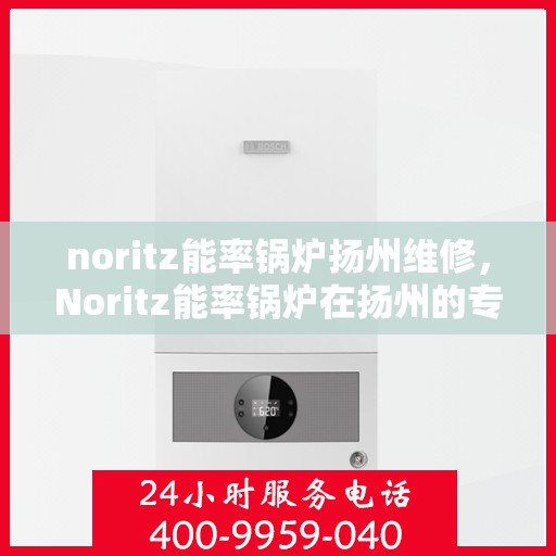 noritz能率锅炉扬州维修，Noritz能率锅炉在扬州的专业维修服务