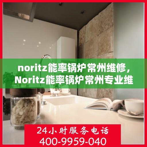 noritz能率锅炉常州维修，Noritz能率锅炉常州专业维修服务
