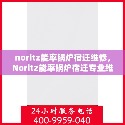 noritz能率锅炉宿迁维修，Noritz能率锅炉宿迁专业维修服务