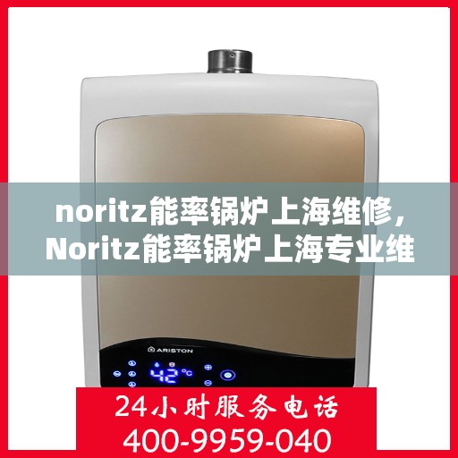 noritz能率锅炉上海维修，Noritz能率锅炉上海专业维修服务
