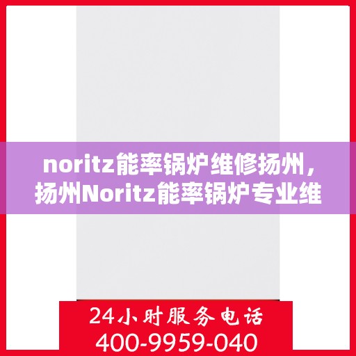 noritz能率锅炉维修扬州，扬州Noritz能率锅炉专业维修服务指南