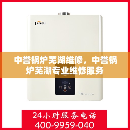 中誉锅炉芜湖维修，中誉锅炉芜湖专业维修服务